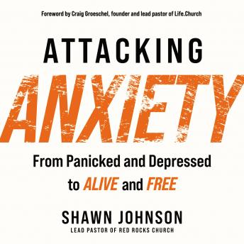 Download Attacking Anxiety: From Panicked and Depressed to Alive and Free by Shawn Johnson