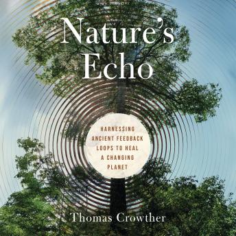 Nature's Echo: Harnessing Ancient Feedback Loops to Heal a Changing Planet