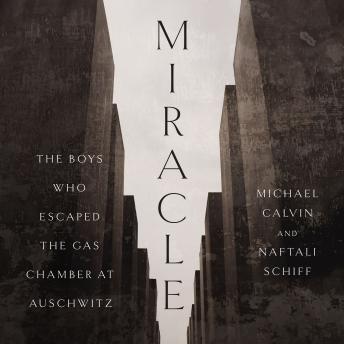 Miracle: The Boys Who Escaped the Gas Chamber at Auschwitz