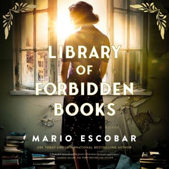 Library of Forbidden Books: A sweeping historical fiction novel about a librarian protecting banned books in Nazi Germany