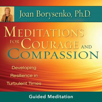 Meditations for Courage and Compassion: Developing Resilience in Turbulent Times