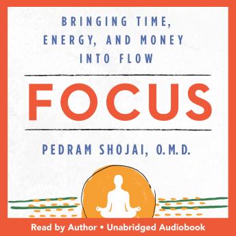 Focus: Bringing Time, Energy, and Money into Flow