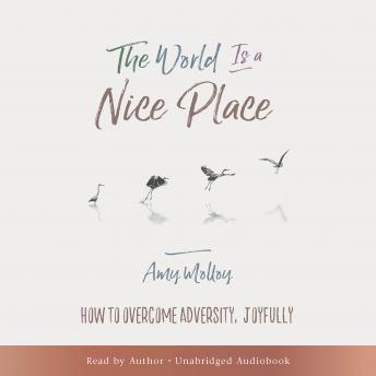 The World Is a Nice Place: How to Overcome Adversity, Joyfully