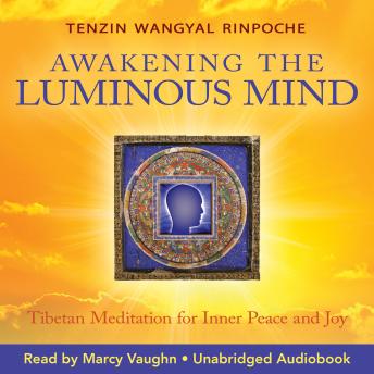 Download Awakening the Luminous Mind: Tibetan Meditation for Inner Peace and Joy by Tenzin Wangyal Rinpoche