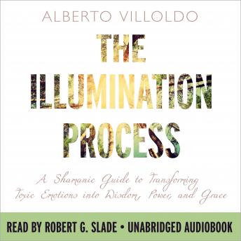The Illumination Process: A Shamanic Guide to Transforming Toxic Emotions into Wisdom, Power, and Grace