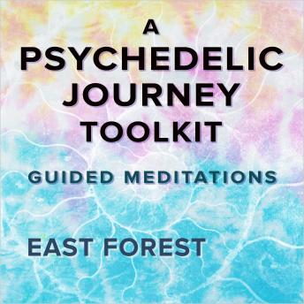 A Psychedelic Journey Toolkit: Guided Meditations