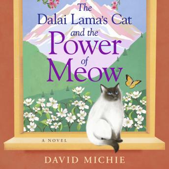 The Dalai Lama's Cat and the Power of Meow