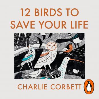 Download 12 Birds to Save Your Life: Nature's Lessons in Happiness by Charlie Corbett