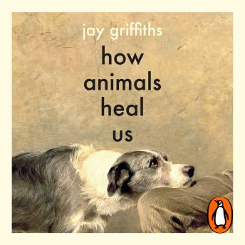 How Animals Heal Us: The perfect book for the animal lover in your life