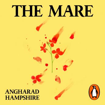 The Mare: The masterful and haunting Holocaust novel, based on a true story