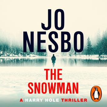 the snowman a harry hole novel jo nesbø