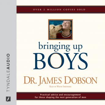 Download Bringing Up Boys by James C. Dobson