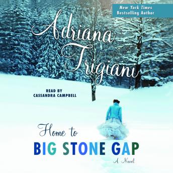 Home to Big Stone Gap: A Novel