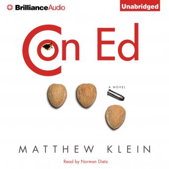Con Ed: A Novel, Audio book by Matthew Klein