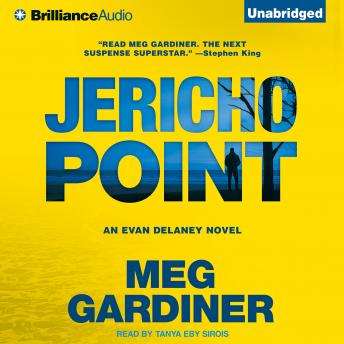Jericho Point: An Evan Delaney Novel