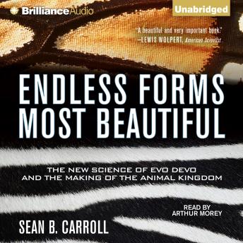 Download Endless Forms Most Beautiful: The New Science of Evo Devo and the Making of the Animal Kingdom by Sean B. Carroll