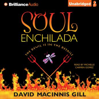 Soul Enchilada, Audio book by David Macinnis Gill