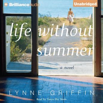 Life Without Summer: A Novel