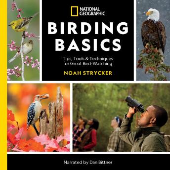 Download National Geographic Birding Basics: Tips, Tools, and Techniques for Great Bird-watching by Noah Strycker