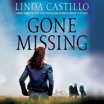 Gone Missing: A Kate Burkholder Novel sample.
