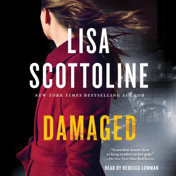 Damaged: A Rosato & DiNunzio Novel