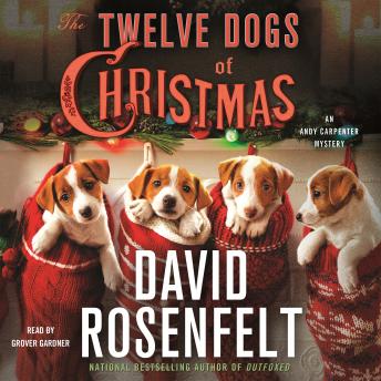 Twelve Dogs of Christmas: An Andy Carpenter Mystery, David Rosenfelt