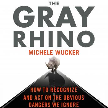 The Gray Rhino: How to Recognize and Act on the Obvious Dangers We Ignore