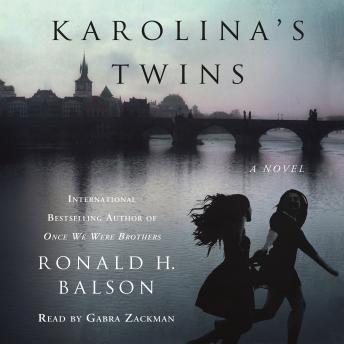Karolina's Twins: A Novel
