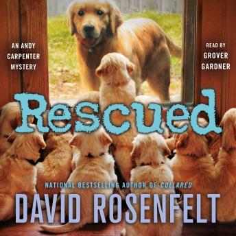 Rescued: An Andy Carpenter Mystery, Audio book by David Rosenfelt