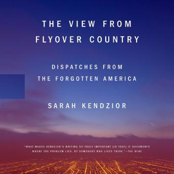 Download View from Flyover Country: Dispatches from the Forgotten America by Sarah Kendzior
