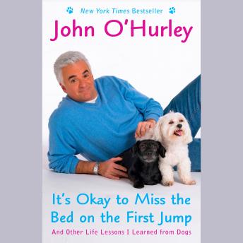 It's Okay to Miss the Bed on the First Jump: And Other Life Lessons I Learned from Dogs
