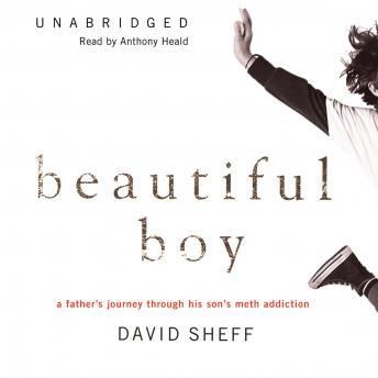 Beautiful Boy: A Father's Journey through His Son's Meth Addiction