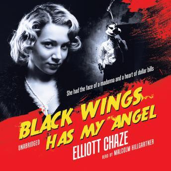Black Wings Has My Angel, Elliott Chaze