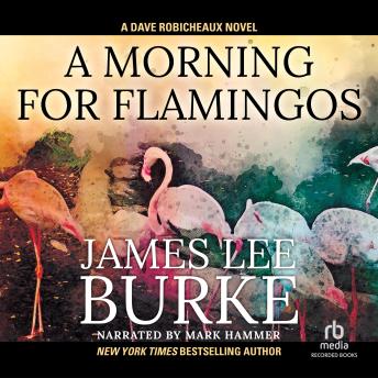 Morning for Flamingos sample.