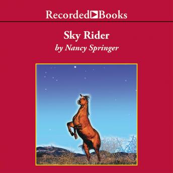 Sky Rider sample.