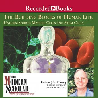 The Building Blocks of Human Life: Understanding Mature Cells and Stem Cells
