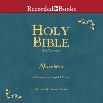 Holy Bible: Numbers Volume 4