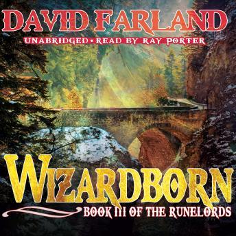 Wizardborn, David Farland