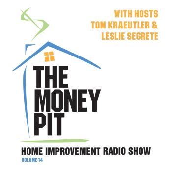 Money Pit, Vol. 14, Leslie Segrete, Tom Kraeutler