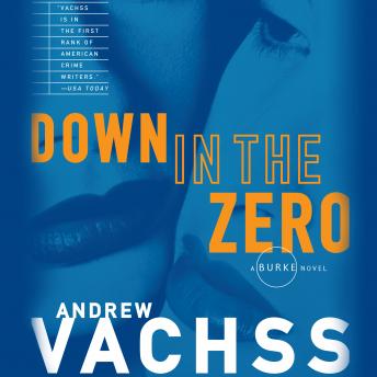 Download Down in the Zero by Andrew Vachss