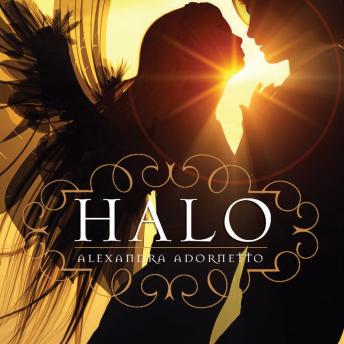 halo series books by alexandra
