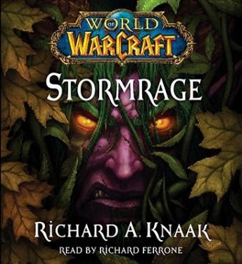 Download World of Warcraft: Stormrage by Richard A. Knaak