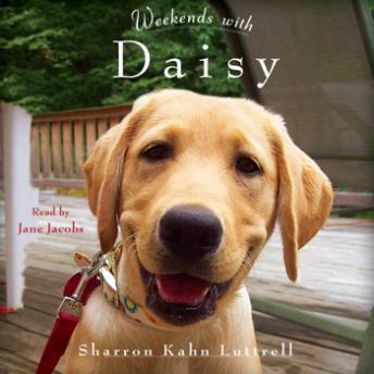 Download Best Audiobooks Self Development Weekends with Daisy by Sharron Kahn Luttrell Free Audiobooks for Android Self Development free audiobooks and podcast