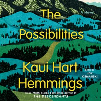 The Possibilities: A Novel