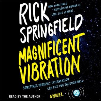 Magnificent Vibration: A Novel