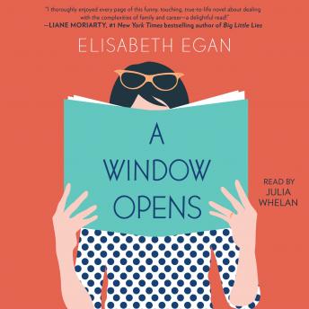 Window Opens: A Novel sample.