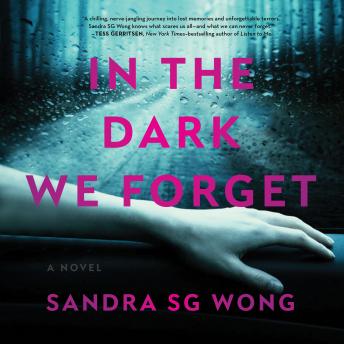 In the Dark We Forget: A Novel
