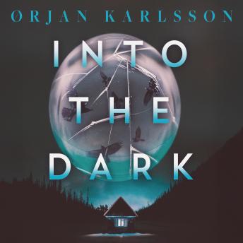 Into the Dark