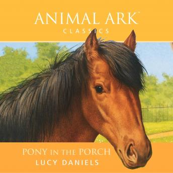 Pony in the Porch, Audio book by Lucy Daniels