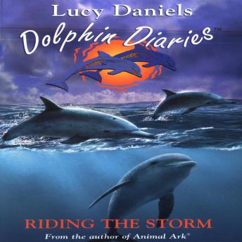 Riding the Storm: Book 3